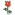 Rose | [Rose]